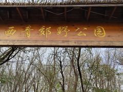 -西青郊野公园