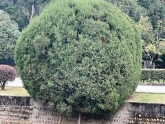 -华西坝(地铁站)