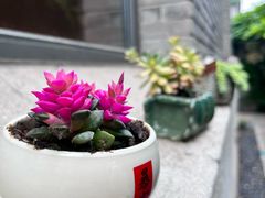 -庐灶江南·江南菜·四合院Bistro(东直门雍和宫·原华侨宾馆店)
