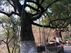 -吴山景区