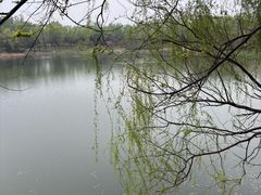 -北坞公园