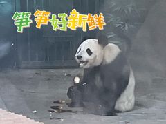 -苏州太湖国家湿地公园