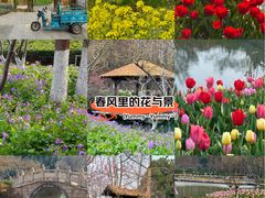 -圩墩遗址公园