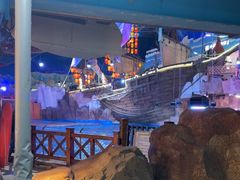 -海合安青岛极地海洋公园