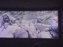 -幸福蓝海国际影城(上海三林店)