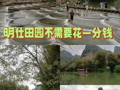 -明仕田园