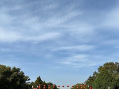 -北陵公园