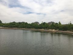 -新江湾城公园