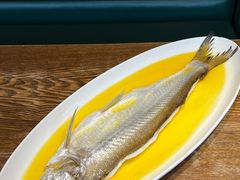 -阿甘小馆(陇海路店)