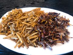 炸虫三拼-菌海森林·非遗野生菌火锅(西山区滇池路摩根道店)