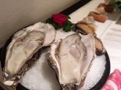 -汤城·料青山