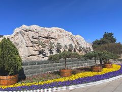 -北京西山国家森林公园