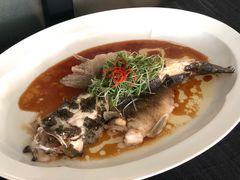 -伯衡55·吉品轩(乌鲁木齐南路店)