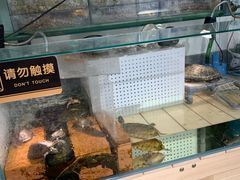 -甜心闲生传统手工冰粉(奎星楼店)