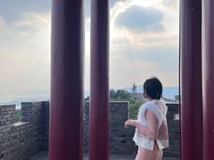 -黄贤森林公园