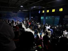 -洛阳龙门海洋馆