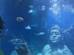 -暹罗海洋世界