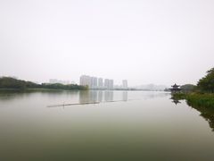 -飞来湖湿地公园