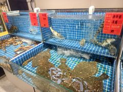 -黑石礁酒楼·海鲜(黑石礁店)