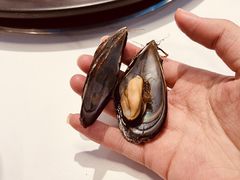 -大锅强·蒸海鲜青岛菜(金沙滩店)