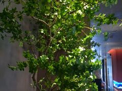 -唐宫足道·SPA·住宿24H会所(木渎店)
