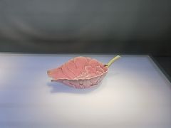 -山东博物馆