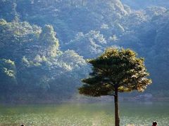 -广州市石门国家森林公园