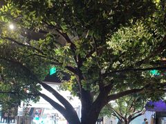 -绿茶餐厅(乐峰广场店)