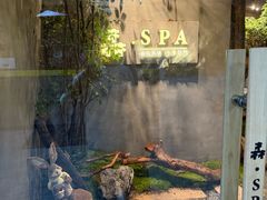-森SPA·泰式按摩·精油Massage(宝安中心店)