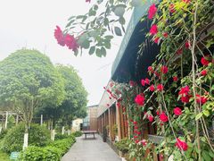 -洪湖家庭农场·团建·露营·会议