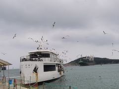 -海驴岛(荣成市)