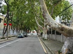 -南京维景国际大酒店(南京博物院店)