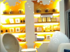 -爱的果实月嫂育婴师(世纪东方店)