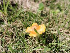 -白塘生态植物园