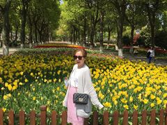 -上海鲜花港