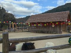 -龙岩森林水乡景区