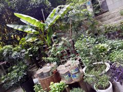 -素清香(解放路店)
