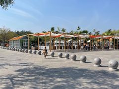 -天津东丽湖风景区