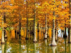 -白鹭湾湿地公园