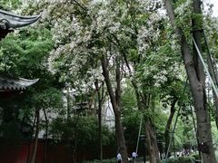 -成都杜甫草堂博物馆