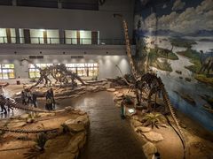 -自贡恐龙博物馆