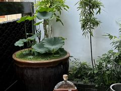 -瓦舍茶馆(聚源路店)