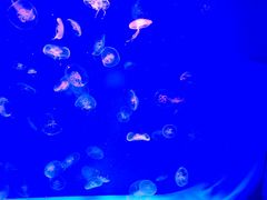 -沈阳海洋探索中心