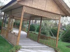 -武清南湖绿博园