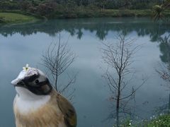 -瑞穗牧场