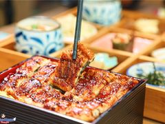 -诚·鳗屋(星摩尔店)