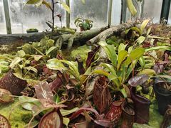 -国家植物园南园