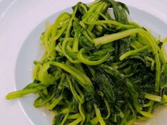 高汤海蛎鸡毛菜-朝郡酒家·粤菜(燕大星苑店)