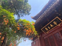 -洛阳白马寺