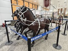 -银川河东国际机场